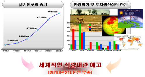 세계적인 식량대란 예고